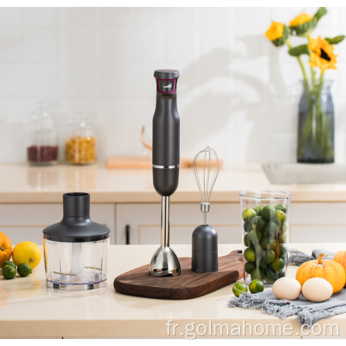 Appareil de ménage 1000W 304 S / S Portable Stick Blender Set